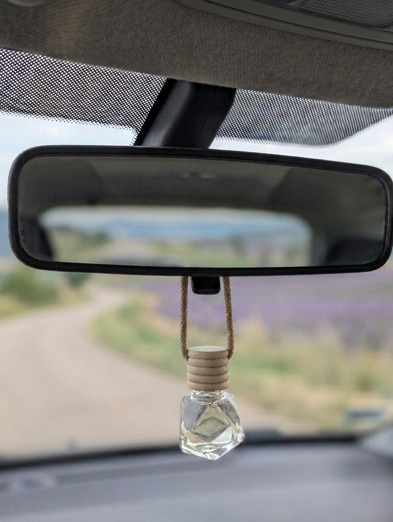 diffuseur-voiture-retroviseur-habitacle.png